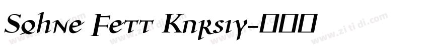 Sohne Fett Kursiv字体转换
